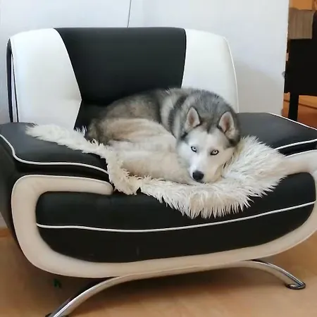 Alloggio in famiglia Ein Im Zentrum *